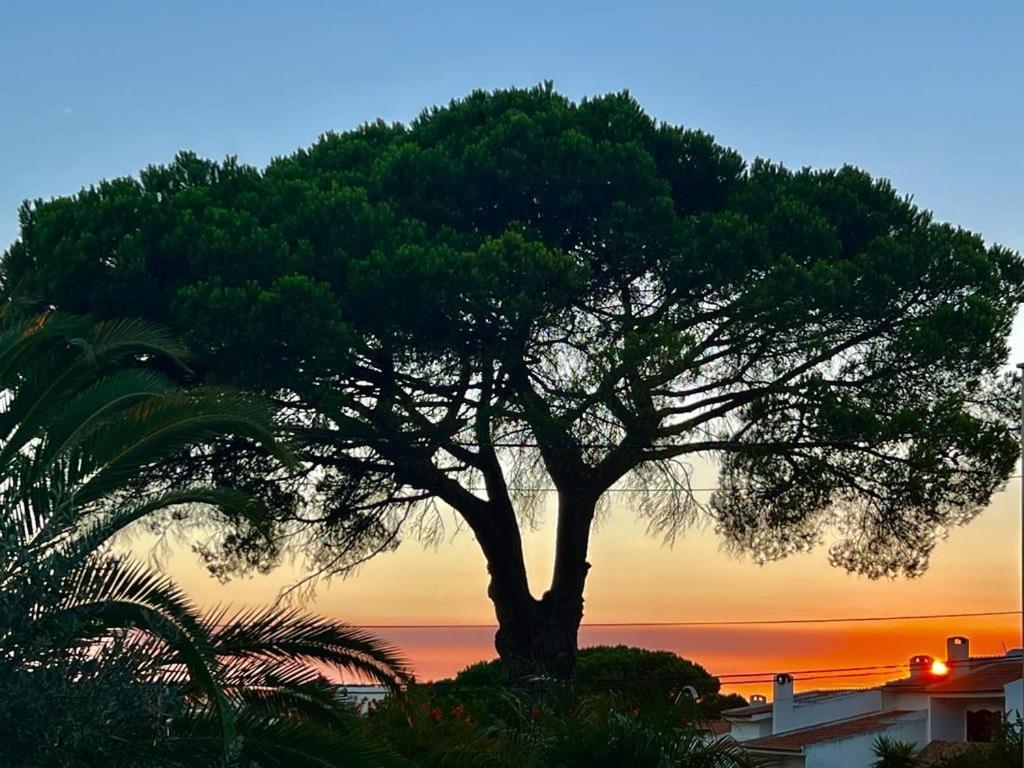 Vila De Sol Sesimbra Exterior foto
