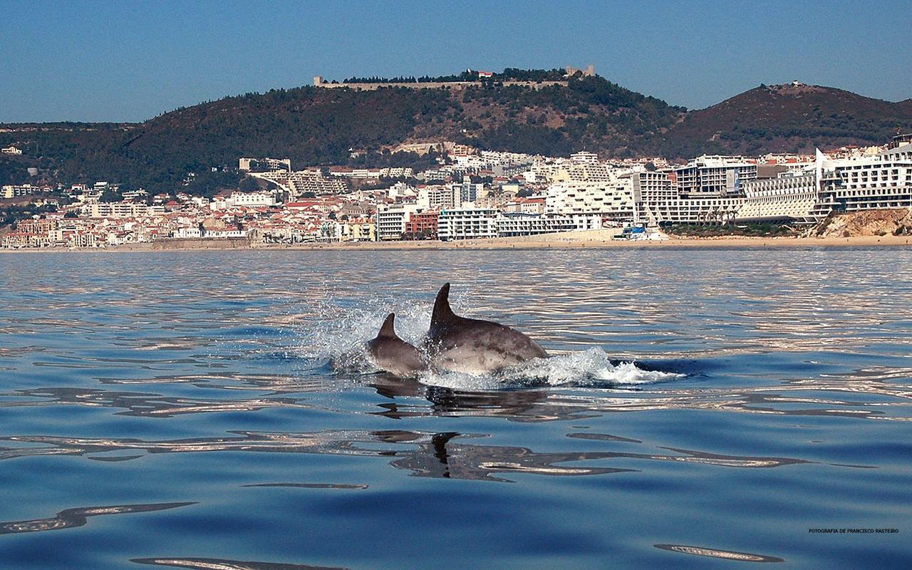 Vila De Sol Sesimbra Exterior foto